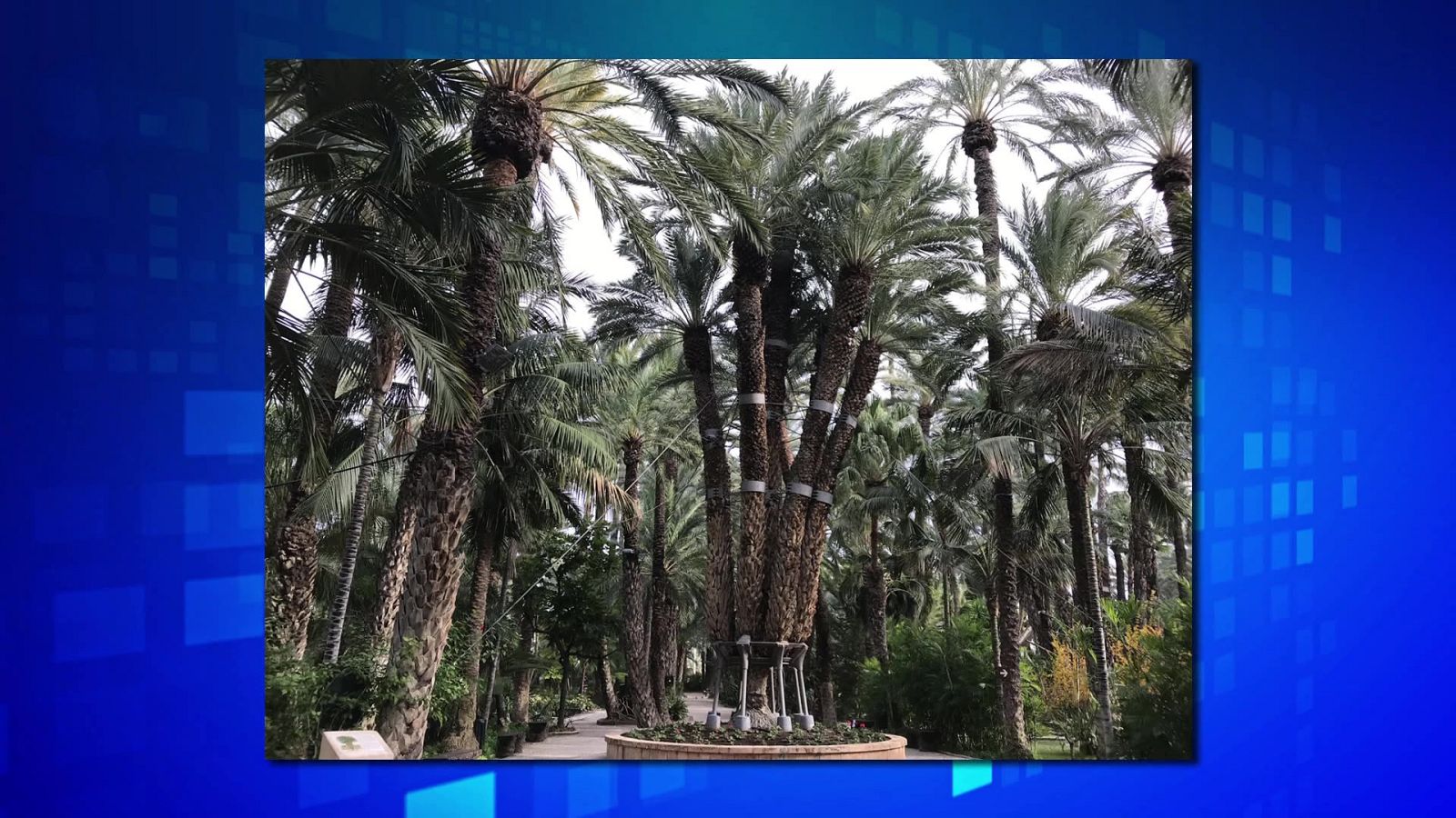 Saber y ganar - 31/08/21 - ver ahora