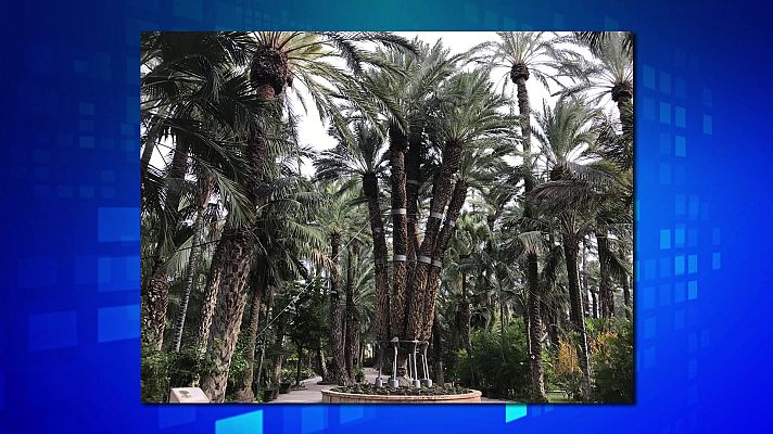 Saber y ganar - Saber y ganar - 31/08/21