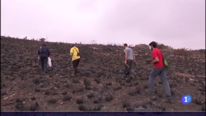  - Estudio del suelo quemado para su reforestación