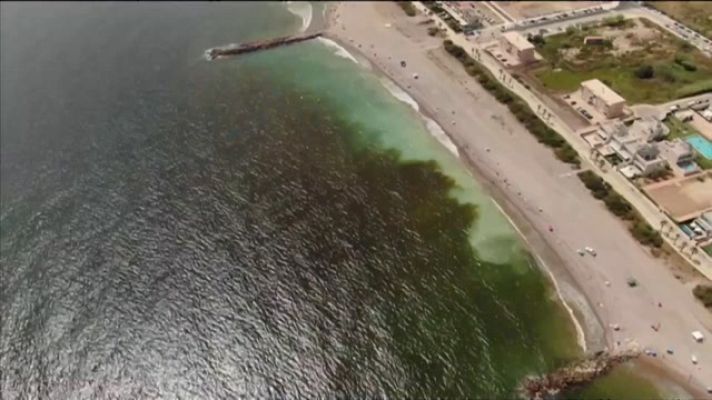 L'informatiu - Comunitat Valenciana - L'Informatiu Comunitat Valenciana 1 - 23/08/21