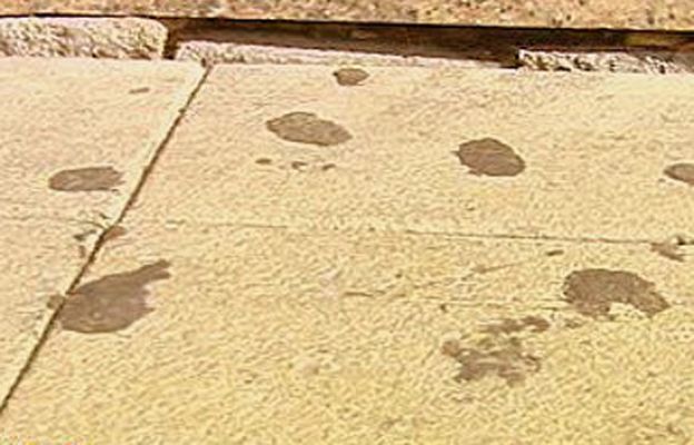 España Directo - Los estragos del chicle