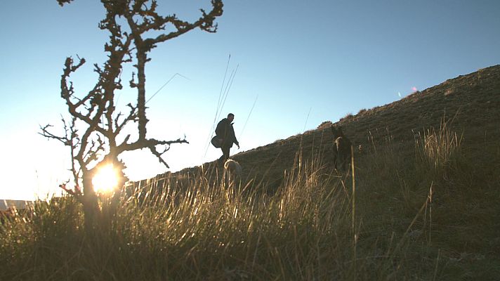 Ruralitas - Ruralitas - Directora de teatro (Cobos de Segovia)...