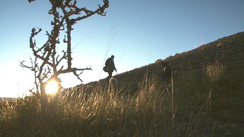 Ruralitas - Directora de teatro (Cobos de Segovia) y manitas (Vega del Codorno)