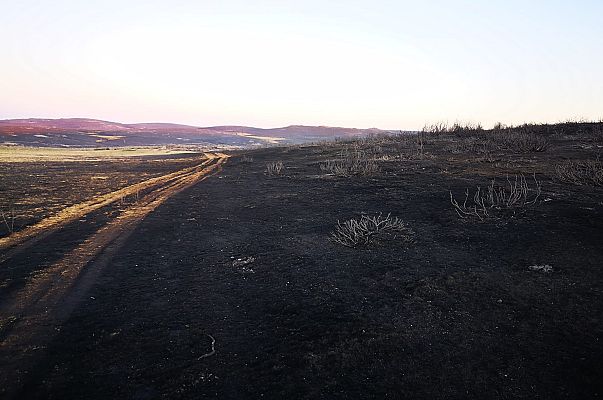 España Directo - Riofrío: las consecuencias del peor incendio