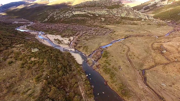 El bosque protector - Saldaña, restauración del Carrión