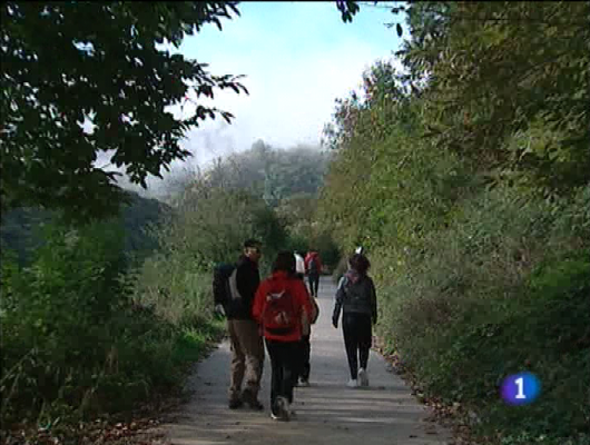 Panorama Regional - Panorama regional - 19/10/09