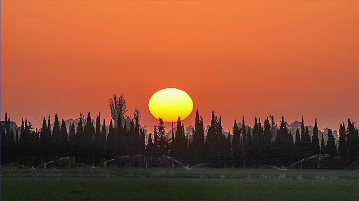 El tiempo - Temperaturas significativamente altas en Murcia y Málaga