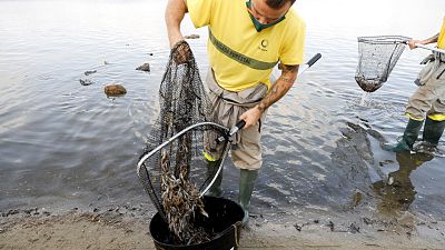 Alerta roja, emisiones cero