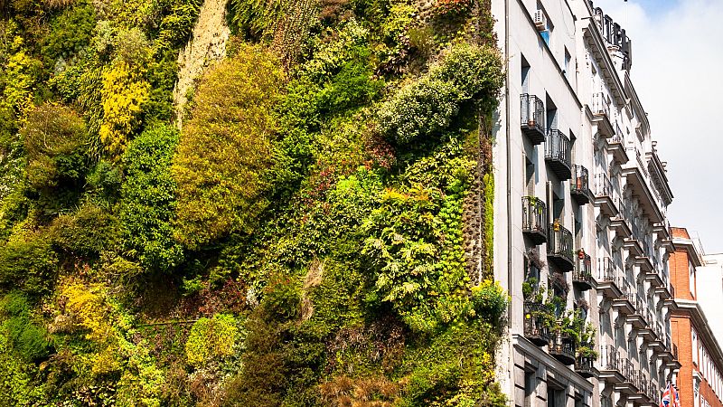 Urbanismo ecológico