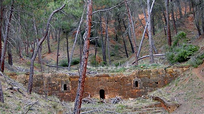 El bosque protector - La restauración de la cuenca del río Jiloca