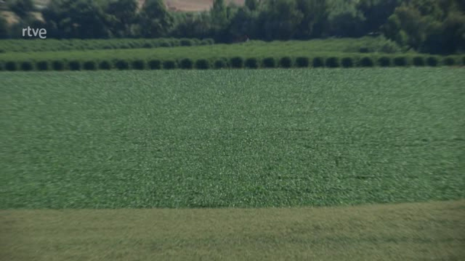 Turismo rural, El Carpio