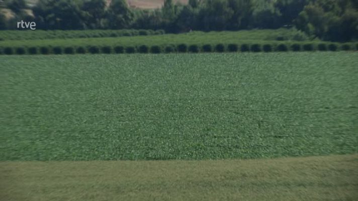 Agrosfera - El Carpio