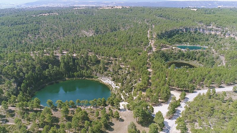 Comando al sol - Festival de verano