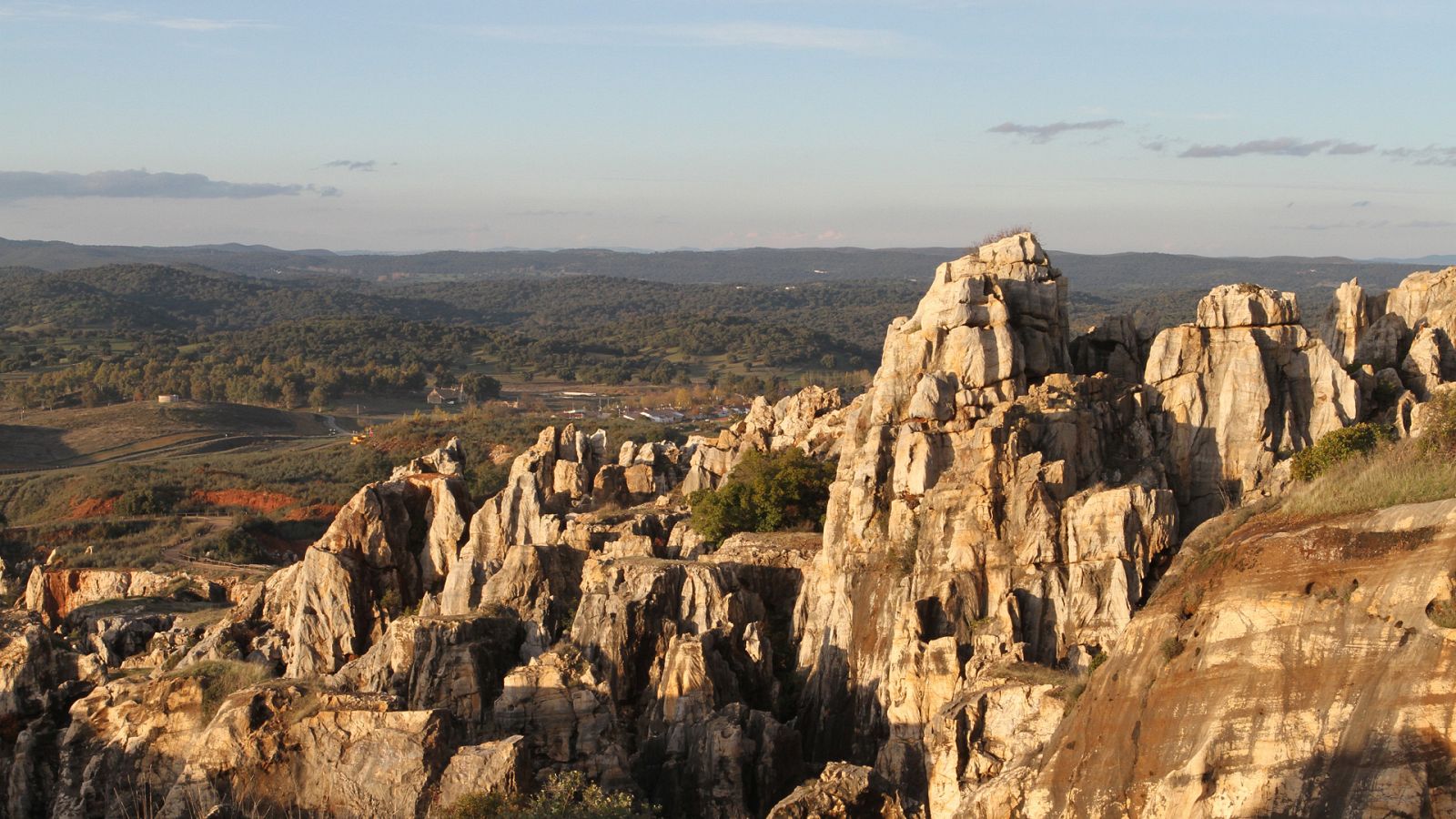 Somos documentales - Wildmed. El último bosque mediterráneo - ver ahora