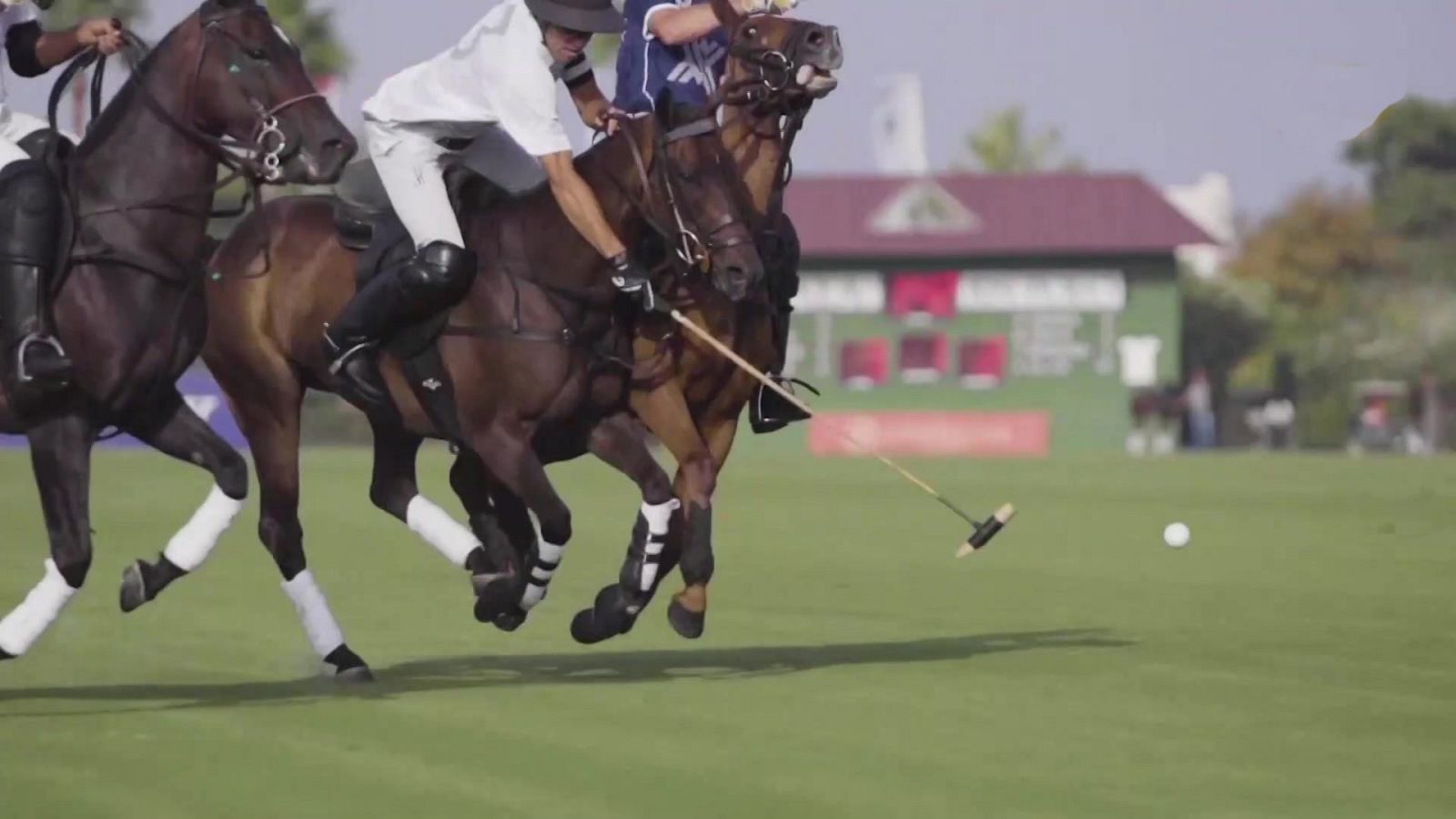 Polo - Torneo Internacional de Sotogrande - ver ahora