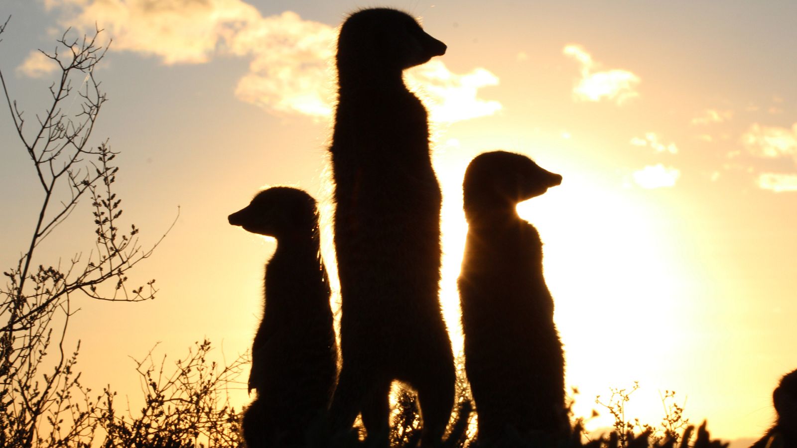 Supersentidos - Episodio 1: Supervista - ver ahora