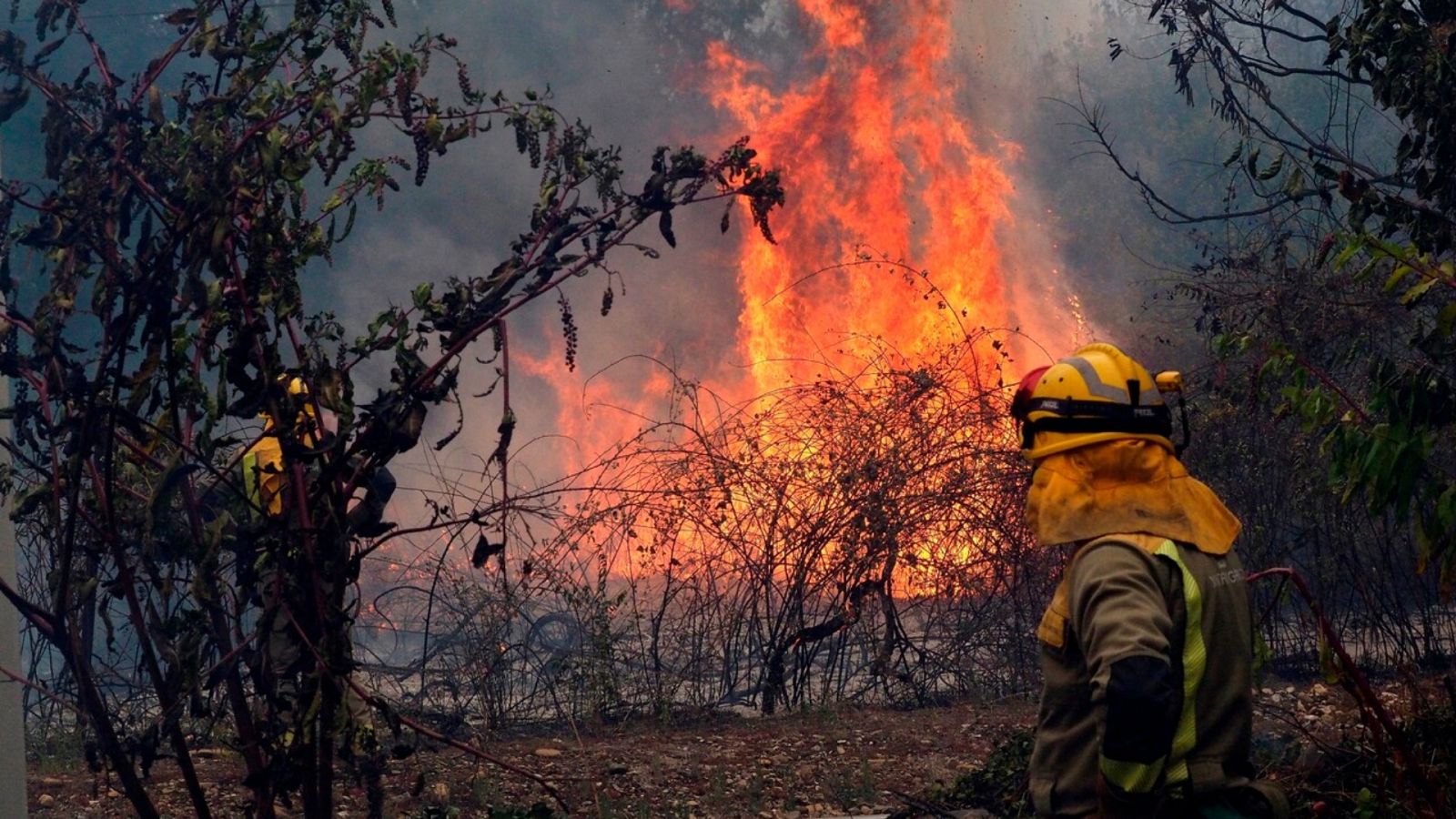 Diario 24 - 07/09/21 (1) - ver ahora