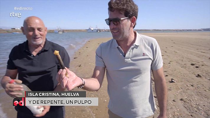 España Directo - Antonio Garrido pesca a mano longuerones en Huelva