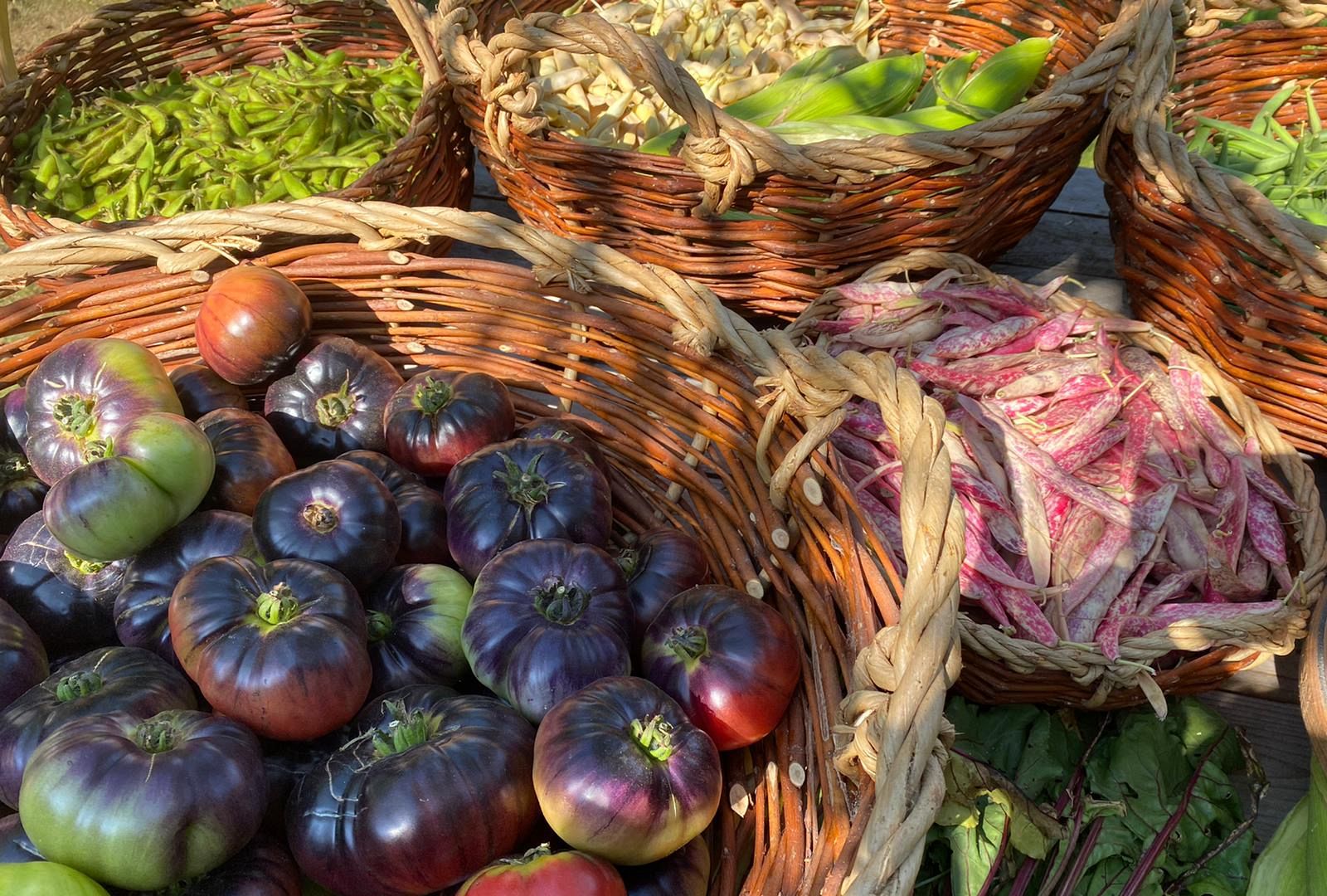 España Directo - La Despensa de Lujo que mima a sus cultivos sin químicos