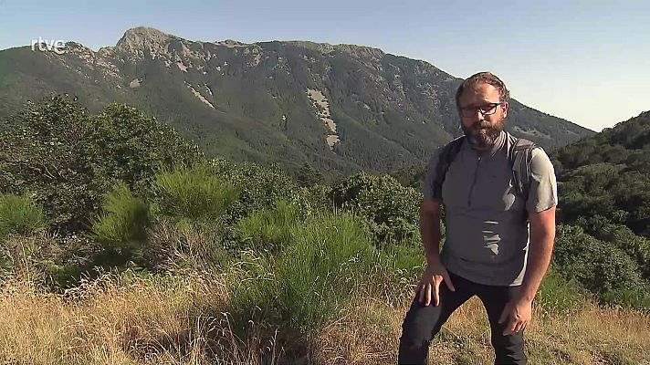 ¡Qué animal! - Montseny