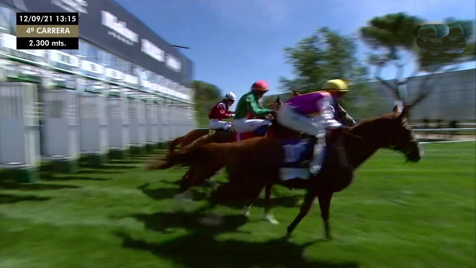 Hípica - Circuito nacional de carreras de caballos. Hipódromo de La Zarzuela - ver ahora