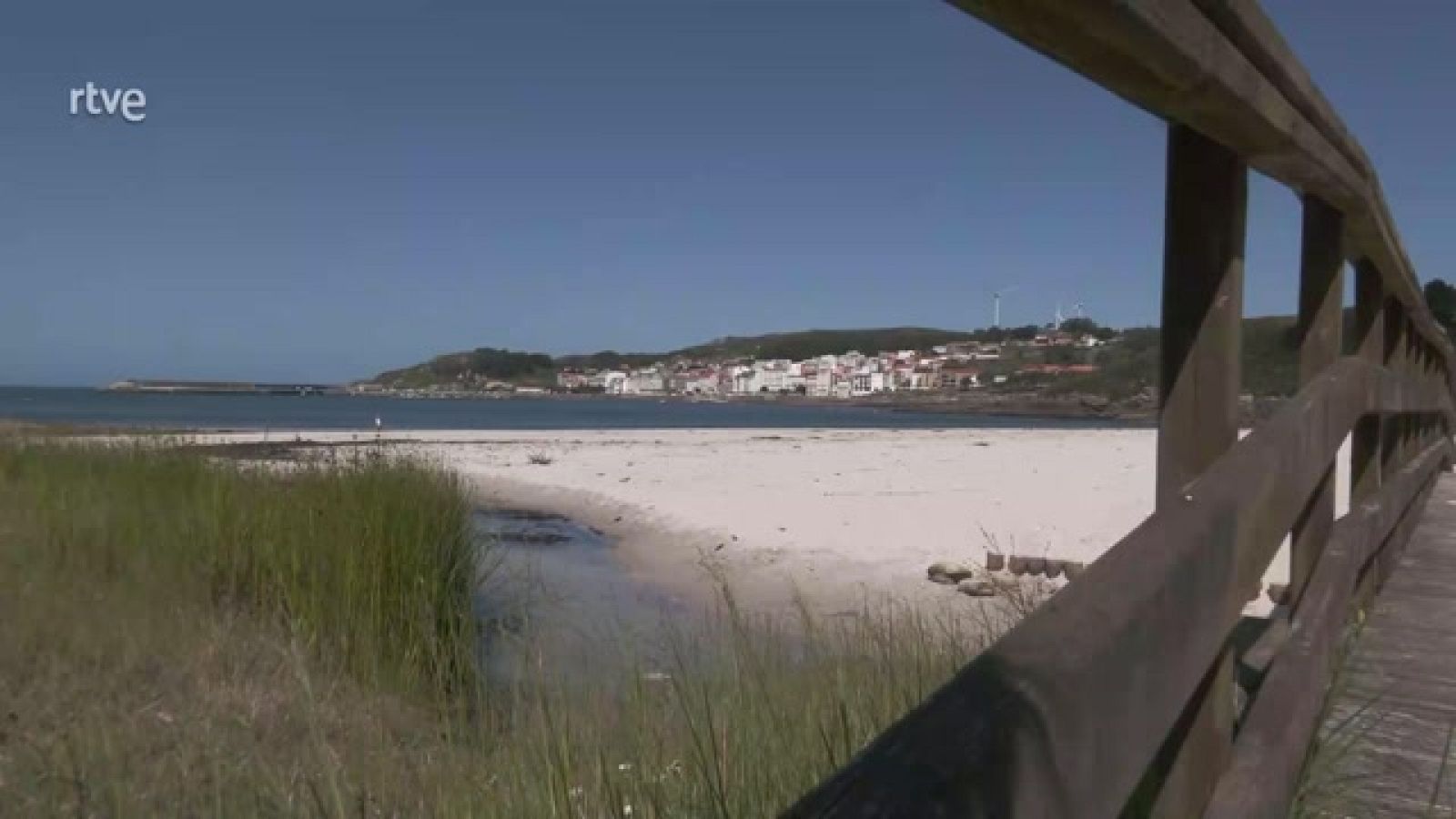 Aquí la Tierra - ¿Cómo se recolectan y se cocinan las algas, la verdura del mar?