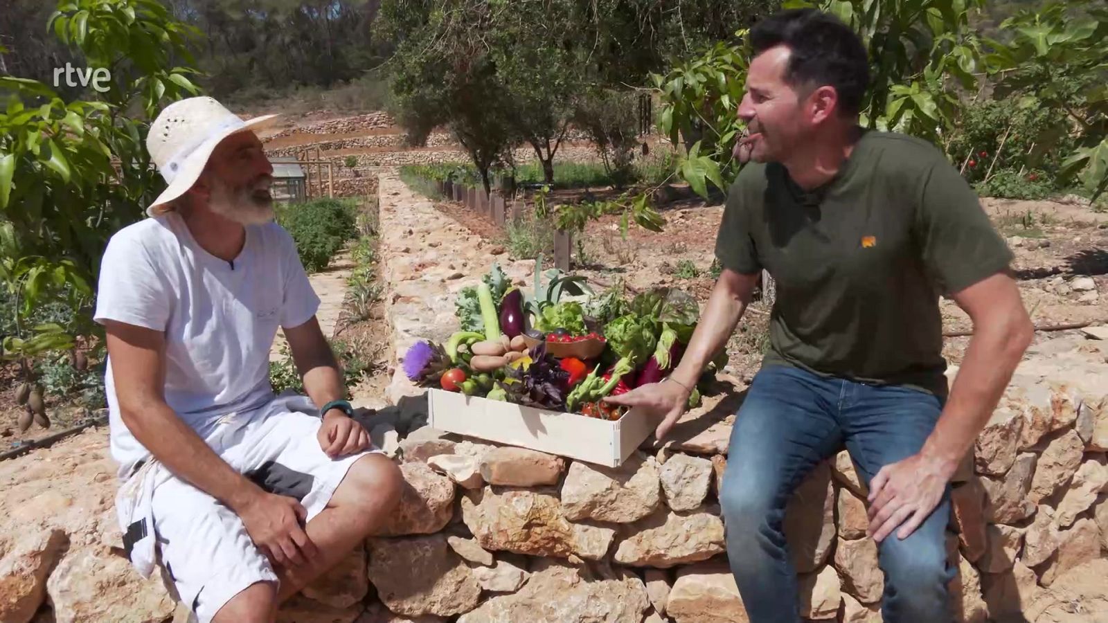 Aquí la Tierra - Gastronomía en Ibiza: recorremos la isla de producto en producto
