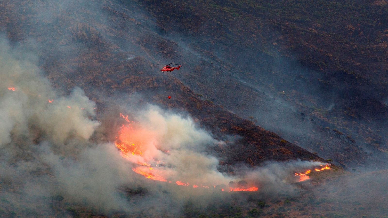 El incendio de Sierra Bermeja, en Málaga, queda controlado tras quemar 8.000 hectáreas