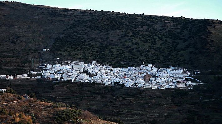 El bosque protector - Restauración forestal. El Marquesado de Zenete