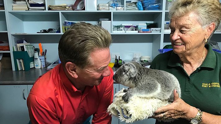 Grandes viajes ferroviarios por Australia - De Newcastle a Brisbane