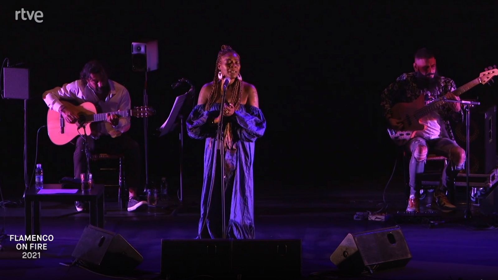 Festivales de verano de La 2 - Flamenco On Fire: programa resumen, 2 - ver ahora