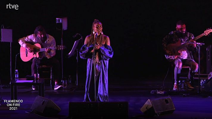 Festivales de verano de La 2 - Flamenco On Fire: programa resumen, 2