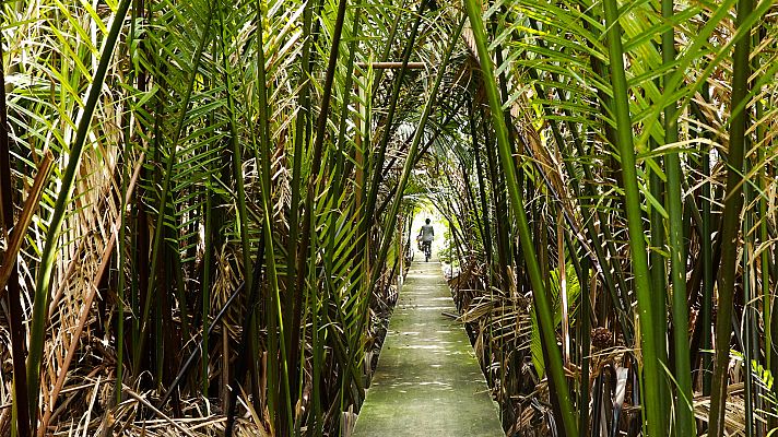 Somos Documentales - Bangkok. La ciudad que nació de las aguas