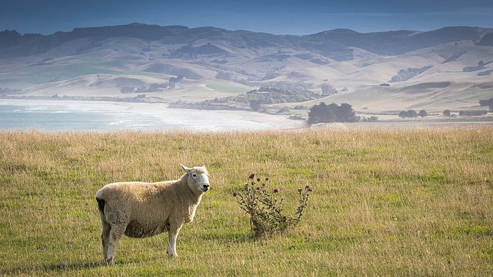 Somos Documentales - Nueva Zelanda: isla sur, la isla de jade