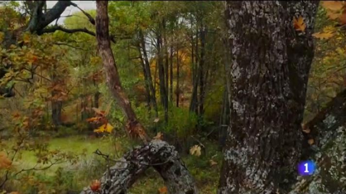 Noticias Andalucía - Victoria, un libro para que los peques conozcan la gesta de Magallanes