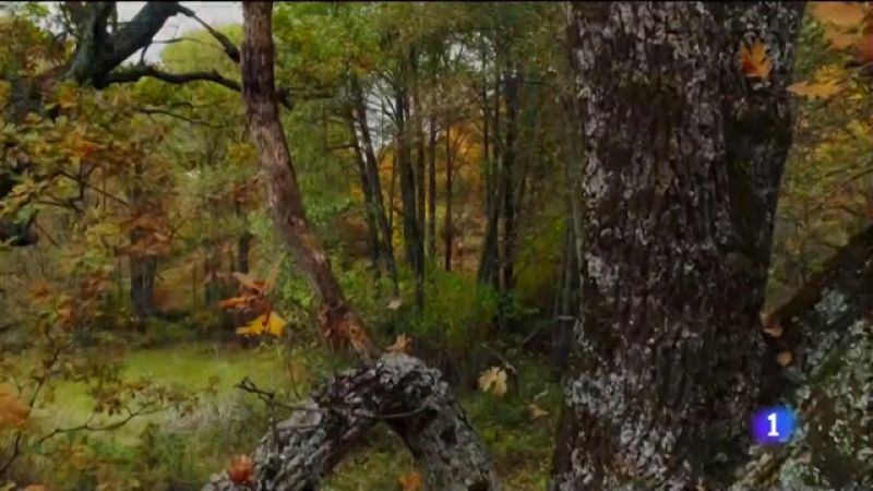 Victoria, un libro para que los peques conozcan la gesta de Magallanes - Noticias Andalucía | Ver