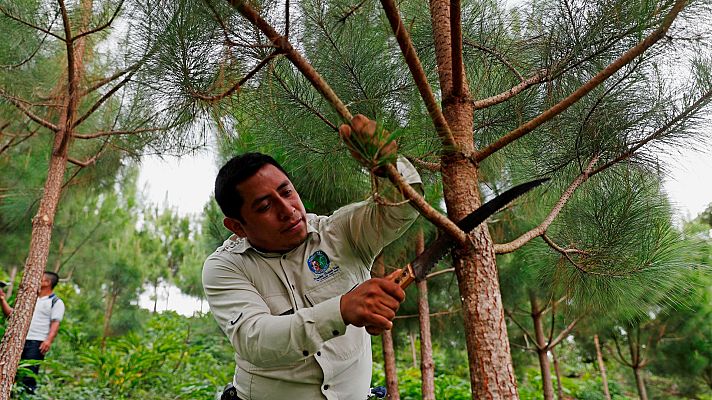 Telediario 2 - La violencia contra los activistas medioambientales aumenta mientras se agrava la crisis climática