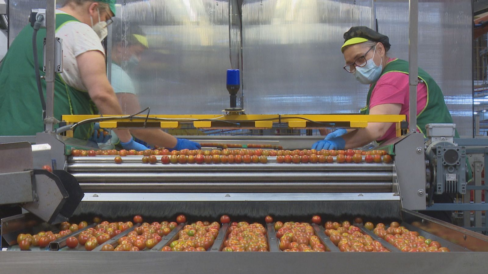 Agrosfera - 18/09/21 - ver ahora