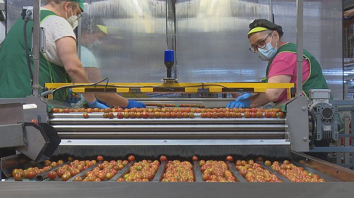 Agrosfera - Agrosfera - 18/09/21