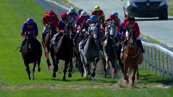 Hípica - Circuito nacional carreras de caballos (Hipód. La Zarzuela)
