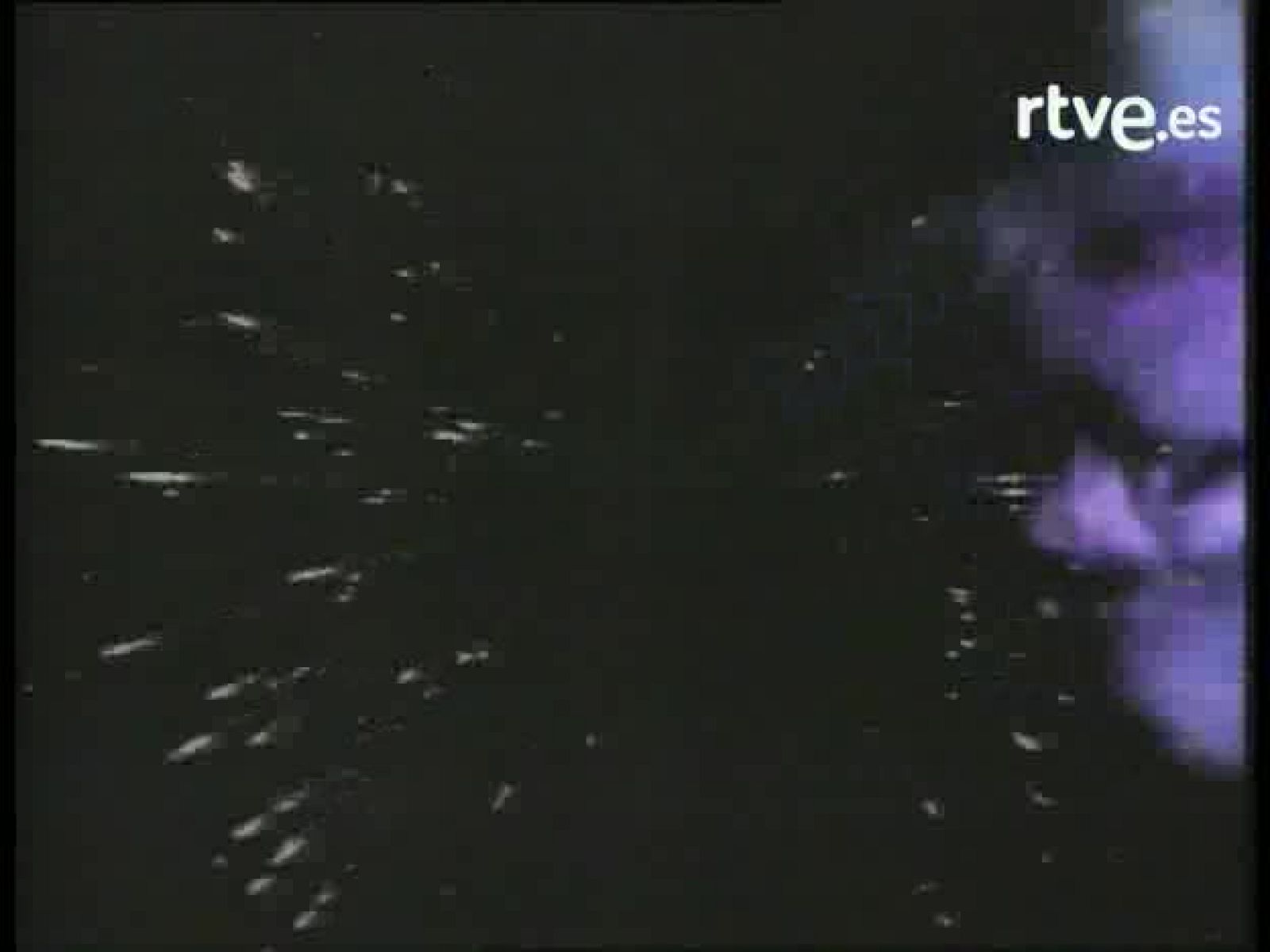 Bola de cristal - Los Electroduendes: Isidoro en el Telediario | Ver