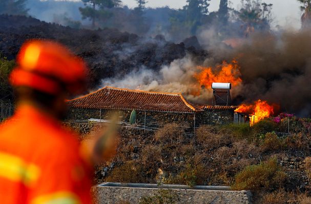 La tarde en 24h - La evacuación por la erupción del volcán de La Palma deja sin protección a los animales domésticos