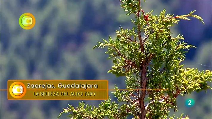 Agrosfera - ZAOREJAS