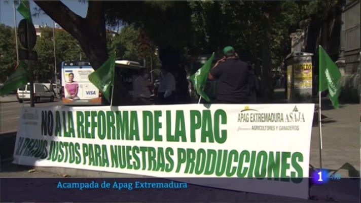 Noticias de Extremadura - Acampada de Apag Extremadura frente al Ministerio de Agricultura