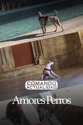 Comando Actualidad - Amores perros