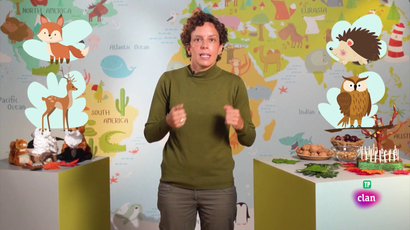 Aprendemos en Clan - CIENCIAS NATURALES - El otoño - RTVE.es - Aprendemos en Clan | Ver