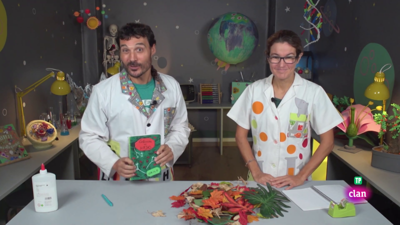 Aprendemos en Clan - RETO - Hojas con hojas - RTVE.es - Aprendemos en Clan | Ver