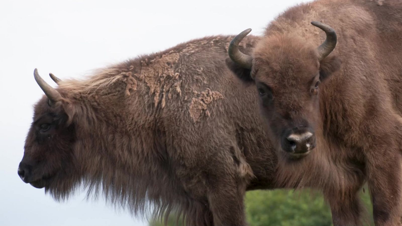 Aquí la Tierra - 23/09/21 - ver ahora