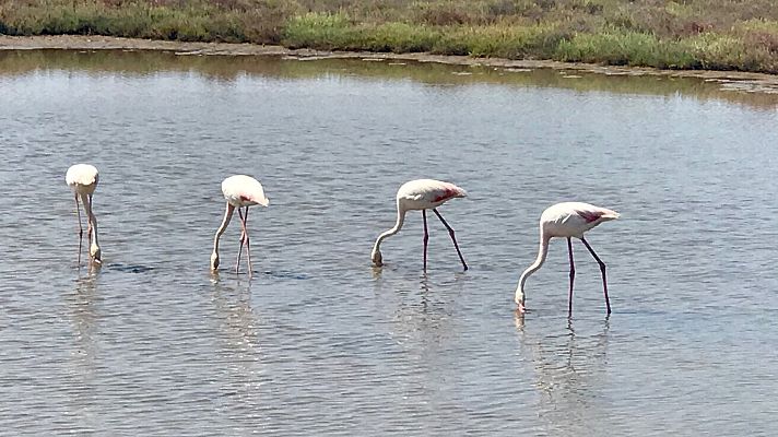 Para todos La 2 - Para todos La2 - 25/09/21