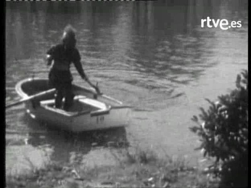 Bola de cristal - La cuarta parte: El Show de Pedro Reyes 'El concursante' | Ver